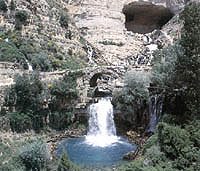  Afqa, source of the Adonis River 